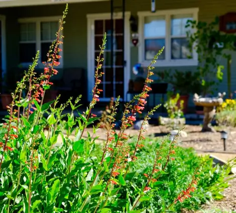 Personalized Design Process