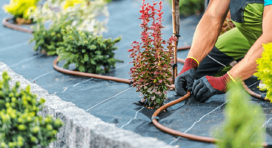 Efficient-Irrigation-systems