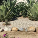 Water Wise Land scaping banner