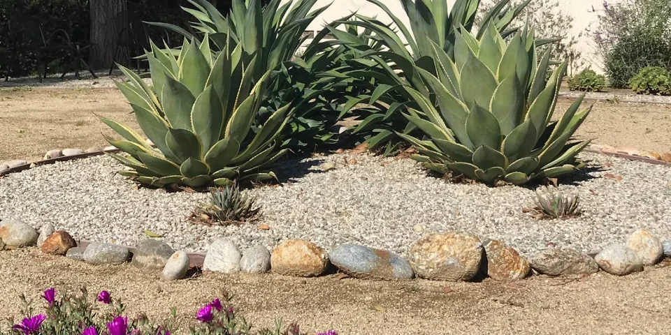 Water Wise Land scaping banner