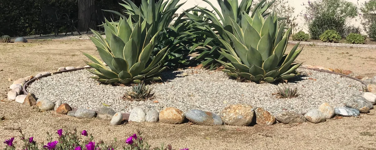 Water Wise Land scaping banner