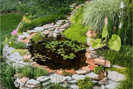 Water-Features-for-Relaxation-Blog-Image