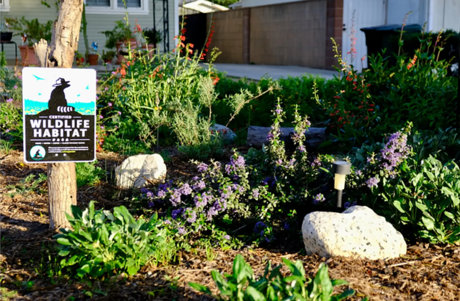 landscaping in pasadena updated