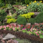 lush garden full view