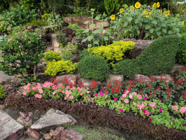 lush garden full view