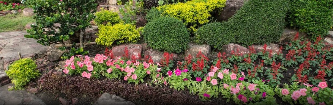 water wise garden in pasadena