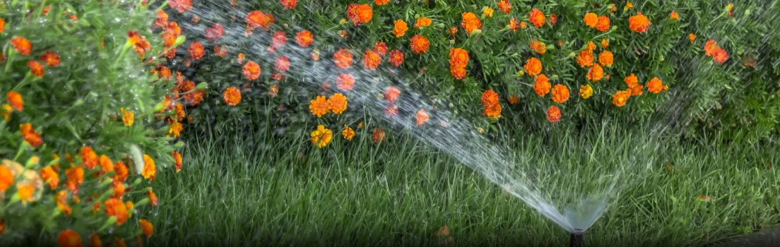 Future of wildfire prevention