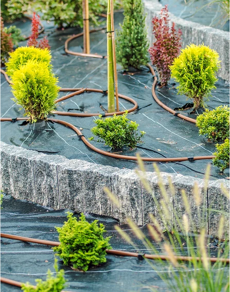 prevent dry and flamable landscapge