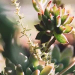 the science of fire resistance