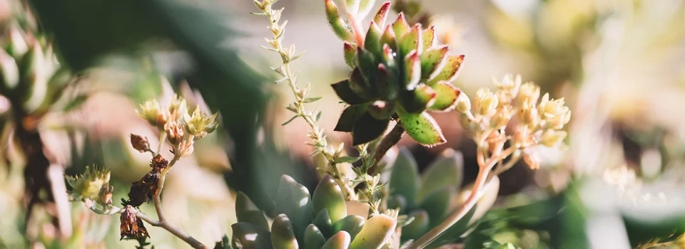 the science of fire resistance