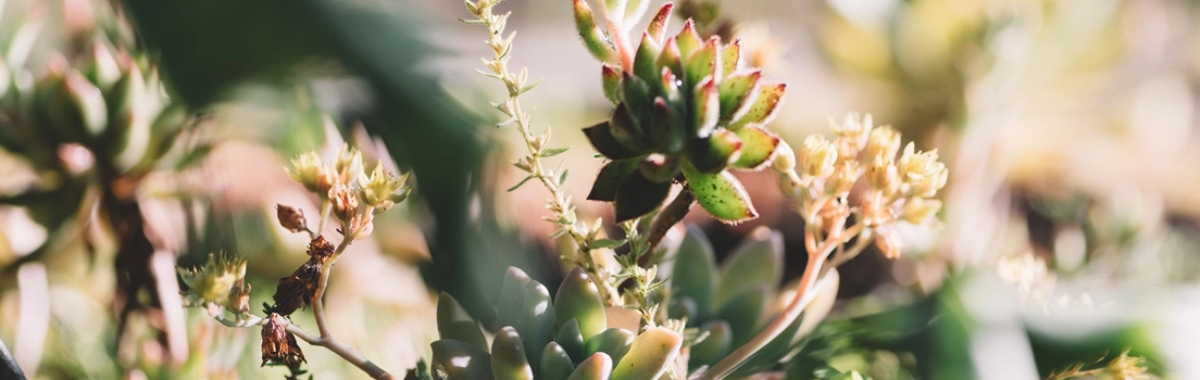 the science of fire resistance